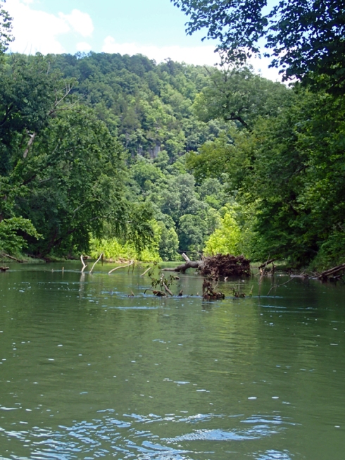 Eleven Point River